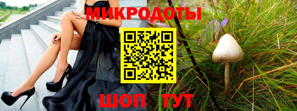 Псилоцибиновые грибы Psilocybe Ржев