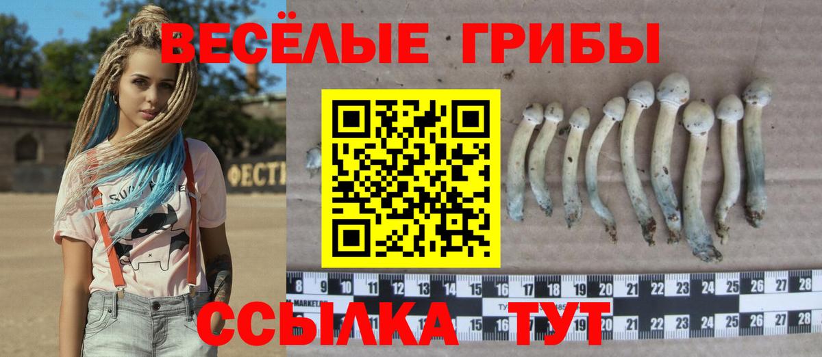 ГАШИШ  Героин  Вход с VPN  APVP СОЛЬ кристаллы  Меф МЯУ МЯУ   Где найти наркотики?  Ржев  КОКАИН 