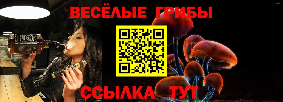 Ржев  Псилоцибиновые грибы MAGIC MUSHROOMS  купить наркоту  Вход с VPN 