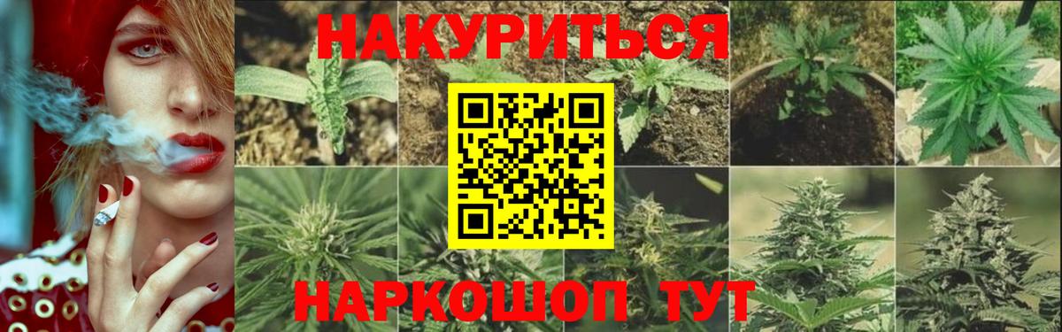 Конопля AK-47  Вход с VPN  МАРИХУАНА марихуана  Ржев  Марихуана индика  МАРИХУАНА LSD WEED 